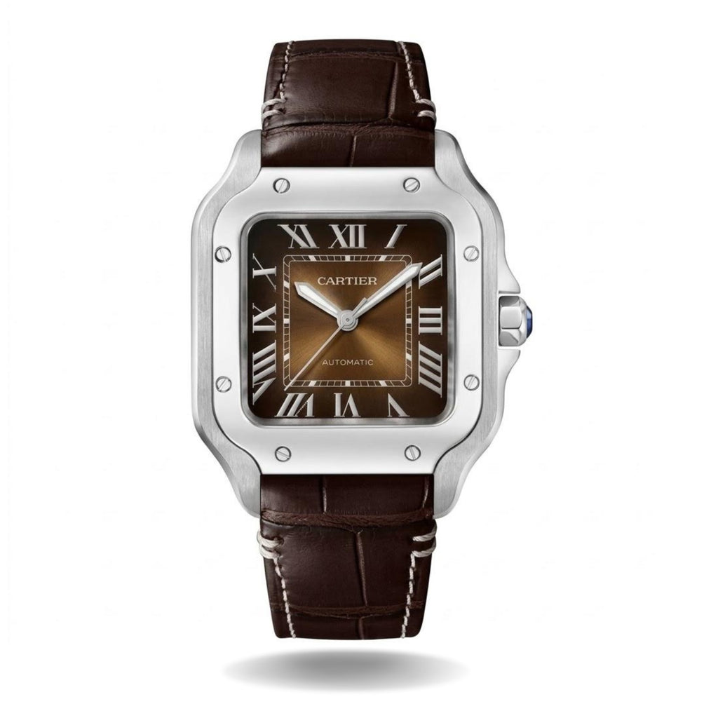 SANTOS DE CARTIER WATCH Leather
